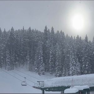 Meet your Posher, Kaia